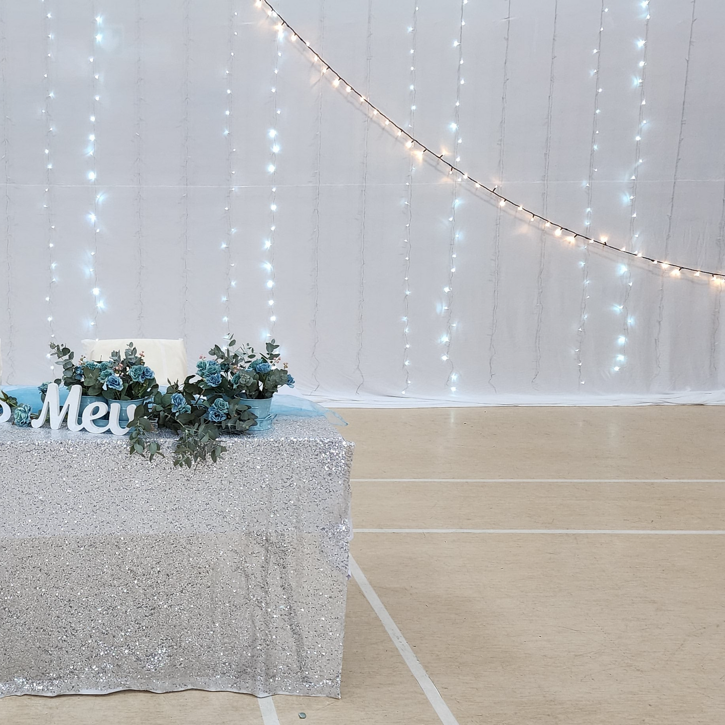 Fairy Light Curtain (HIRE ITEM)