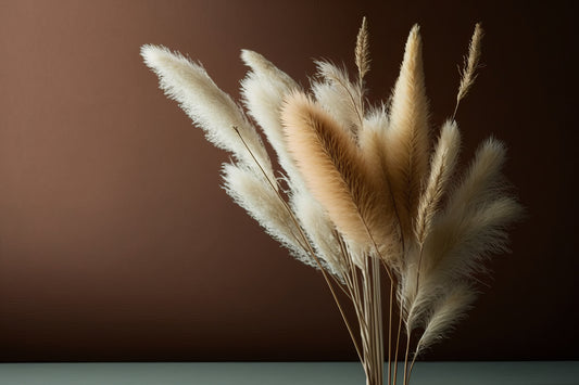 Pampas grass dry (HIRE ITEM)